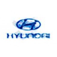 für Hyundai Fahrzeuge